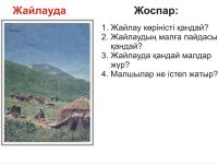 Наглядные пособия К. Битибаевой () Изображение №23